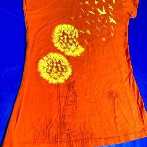 Bitter Sweet Casualty of Luxury 90’s Y2K Orange Tee w/Dandelion &
Bird Design XL
